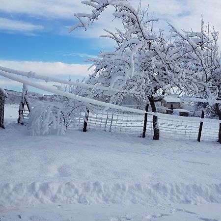 House Luna Rakovica Dış mekan fotoğraf