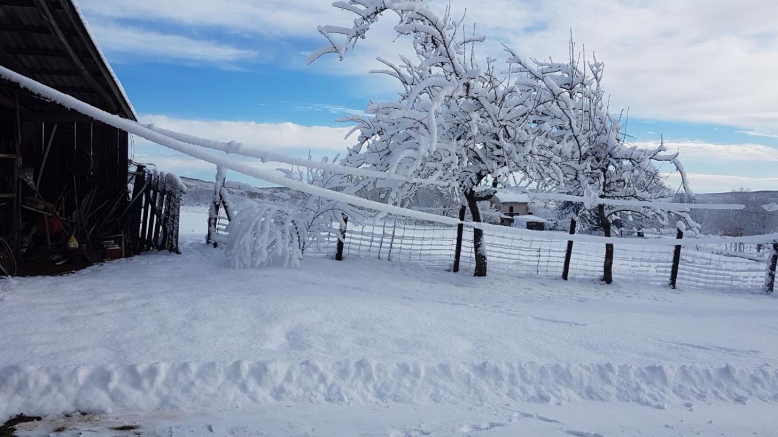 House Luna Rakovica Dış mekan fotoğraf