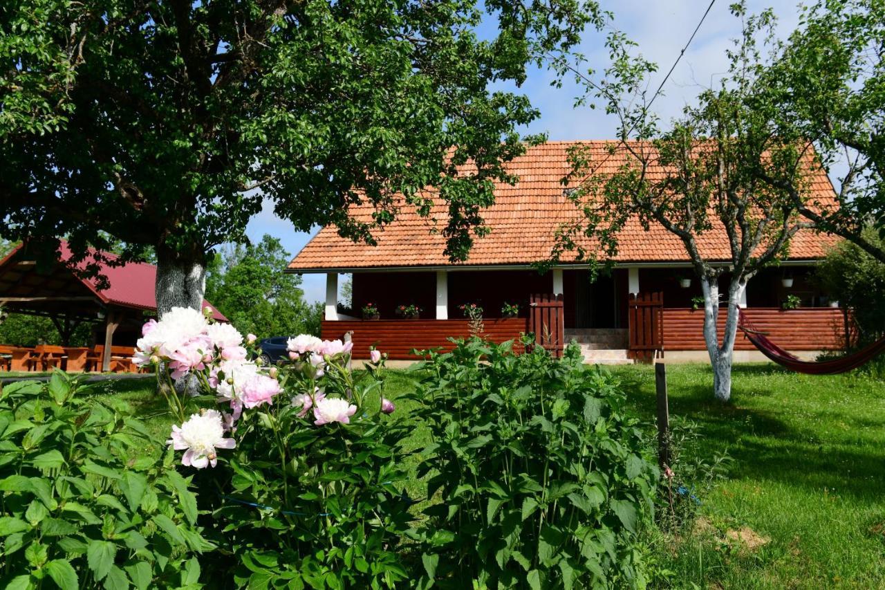 House Luna Rakovica Dış mekan fotoğraf