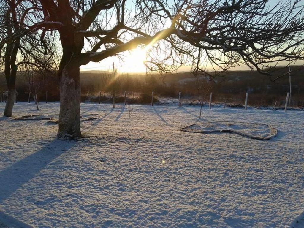 House Luna Rakovica Dış mekan fotoğraf
